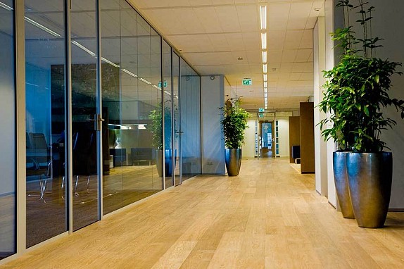 Perfect eye for detail